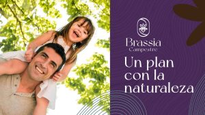 BRASSIA CAMPESTRE 29.05.24_compressed_pages-to-jpg-0007_1300x731