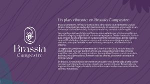 BRASSIA CAMPESTRE 29.05.24_compressed_pages-to-jpg-0020_1300x731