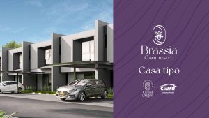 BRASSIA CAMPESTRE 29.05.24_compressed_pages-to-jpg-0022_1300x731