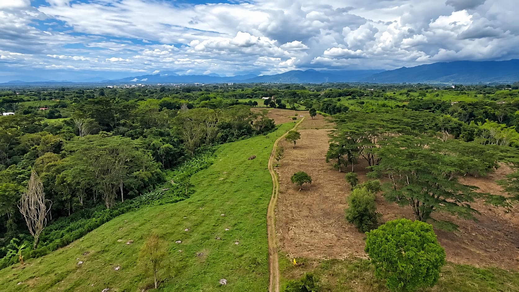 Proyectos Eje Cafetero laureles_campestre_c21 (3)