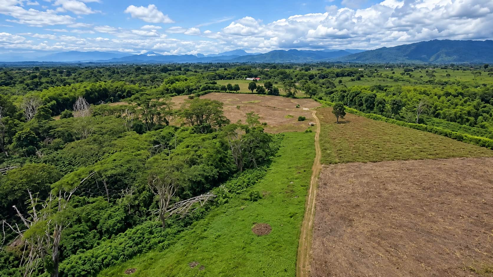 Proyectos Eje Cafetero laureles_campestre_c21 (4)