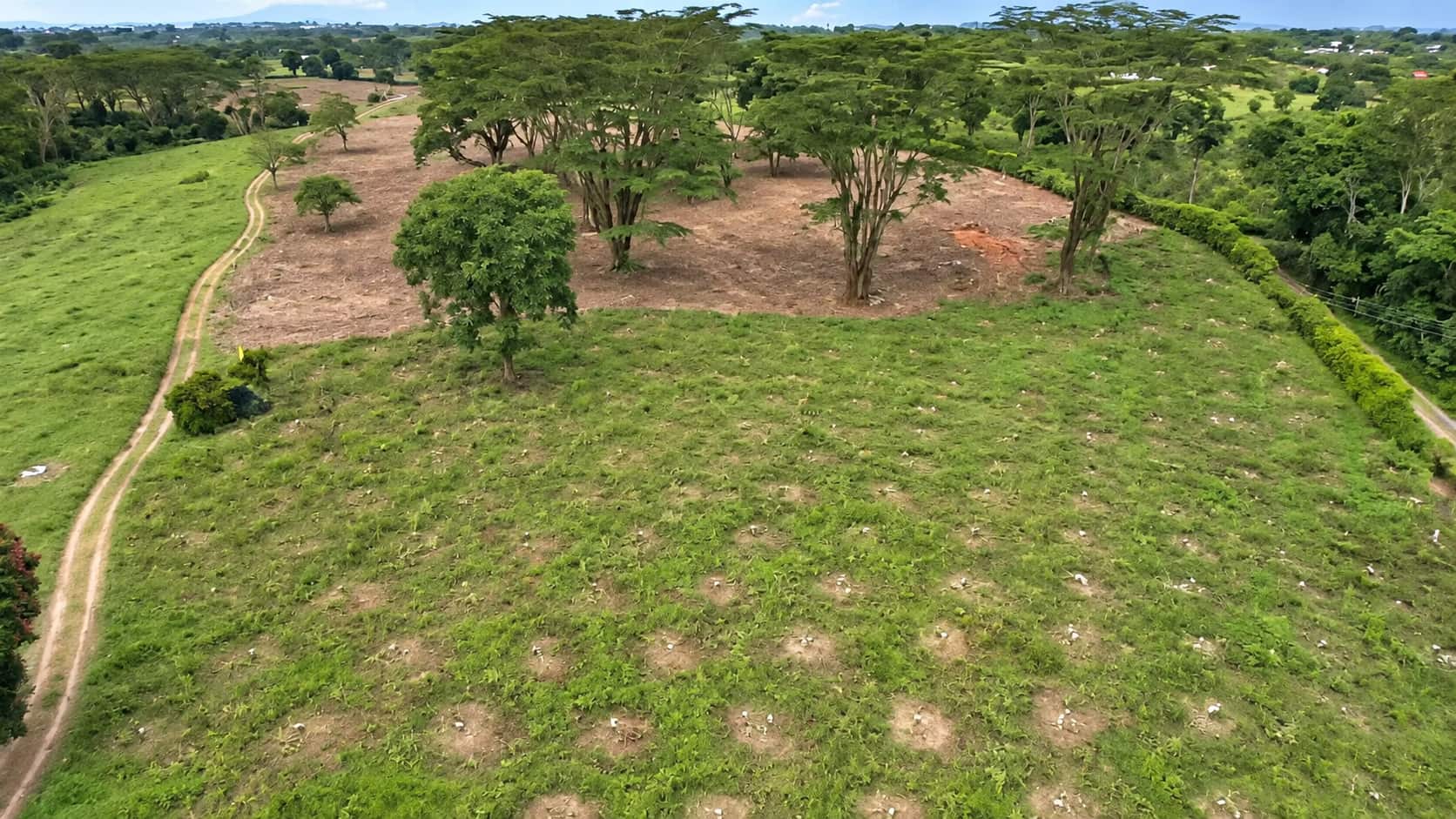 Proyectos Eje Cafetero laureles_campestre_c21 (5)